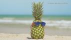 a pineapple on a sandy beach