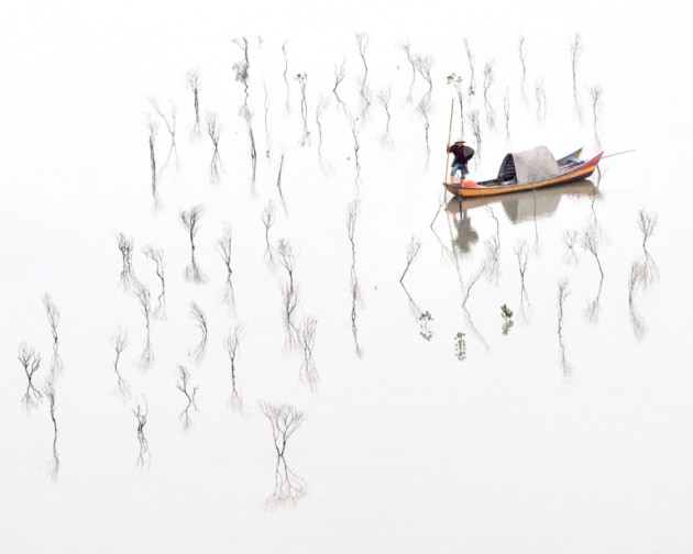 Hilda Champion. Title: In the Mangroves. A contemplative image of a fisherman inspecting his mangrove seedlings.