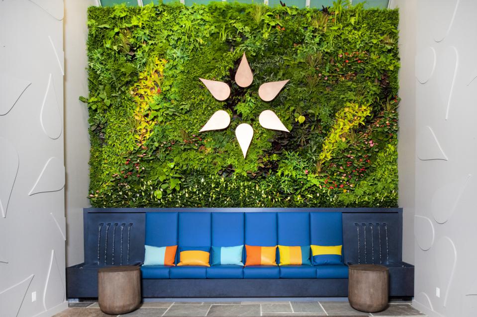 Etain Health Manhattan Flagship Store green wall and fountains 