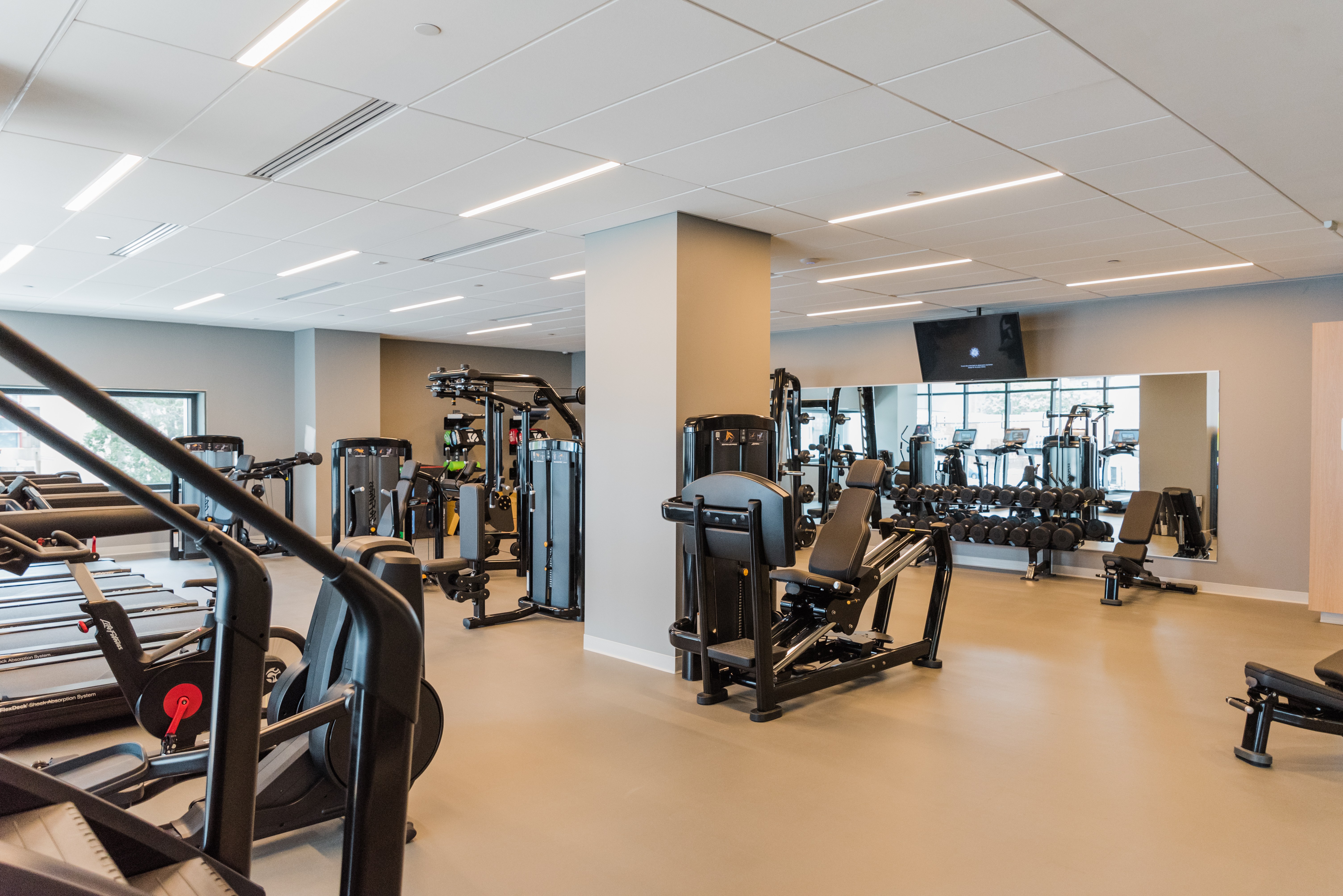 the chestnut apartment profile fitness center