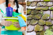 cleaning tips how to clean your home autumn expert advice