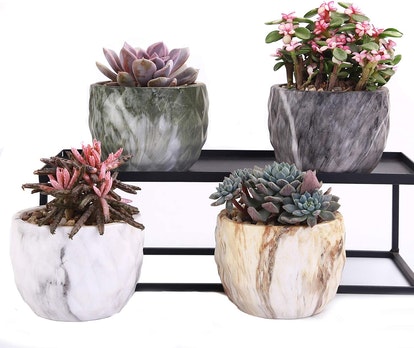 winemana Ceramic Planters (Set of 4)