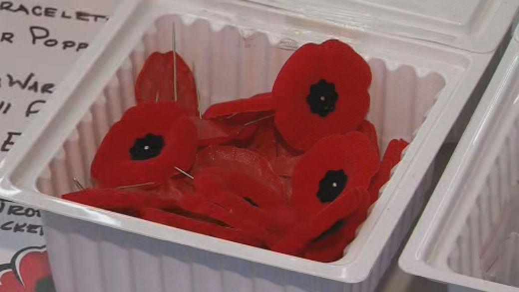 Click to play video 'What do Remembrance Day poppy donations fund?'